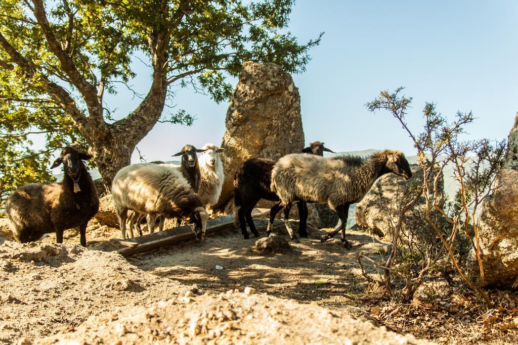 La Taverna Dei Briganti Hotel Cotronei Esterno foto